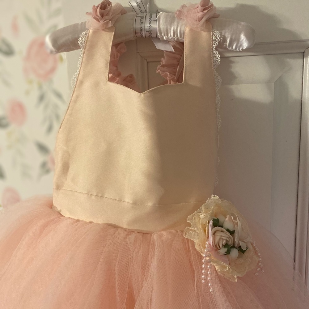 Dollcake pink lady tutu frock